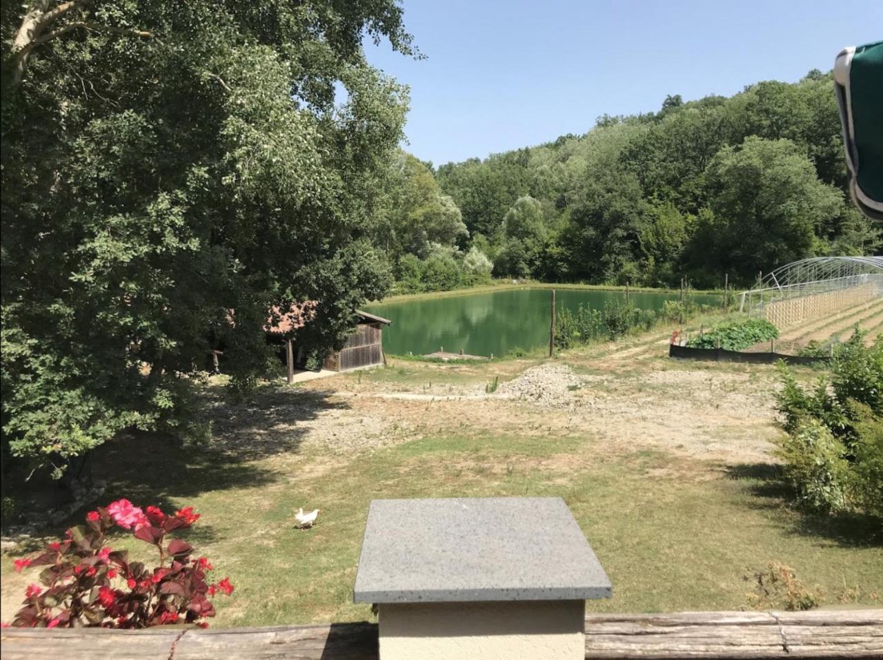 Bioagriturismo Tenuta Montenuovo Otel Calvera Dış mekan fotoğraf