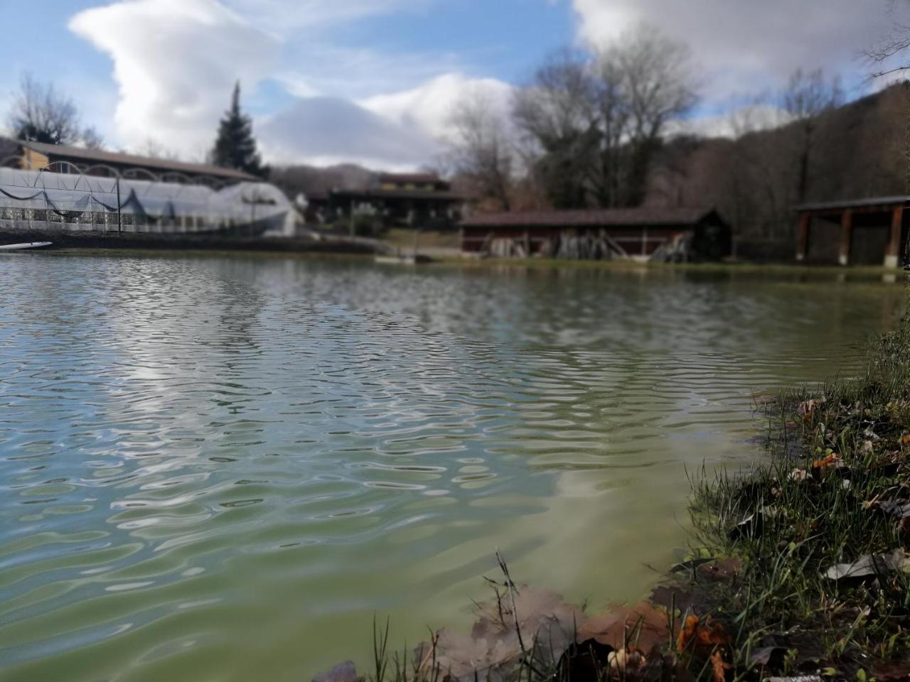 Bioagriturismo Tenuta Montenuovo Otel Calvera Dış mekan fotoğraf
