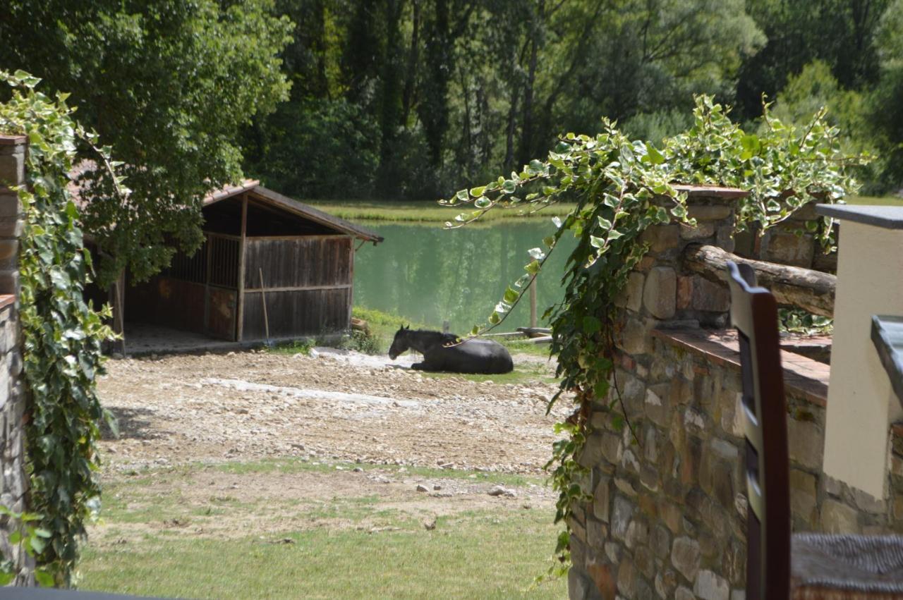 Bioagriturismo Tenuta Montenuovo Otel Calvera Dış mekan fotoğraf